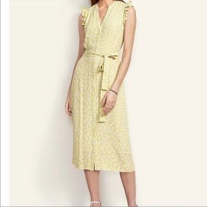 Ann Taylor PETITE FLORAL FLUTTER SLEEVE SHIRTDRESS